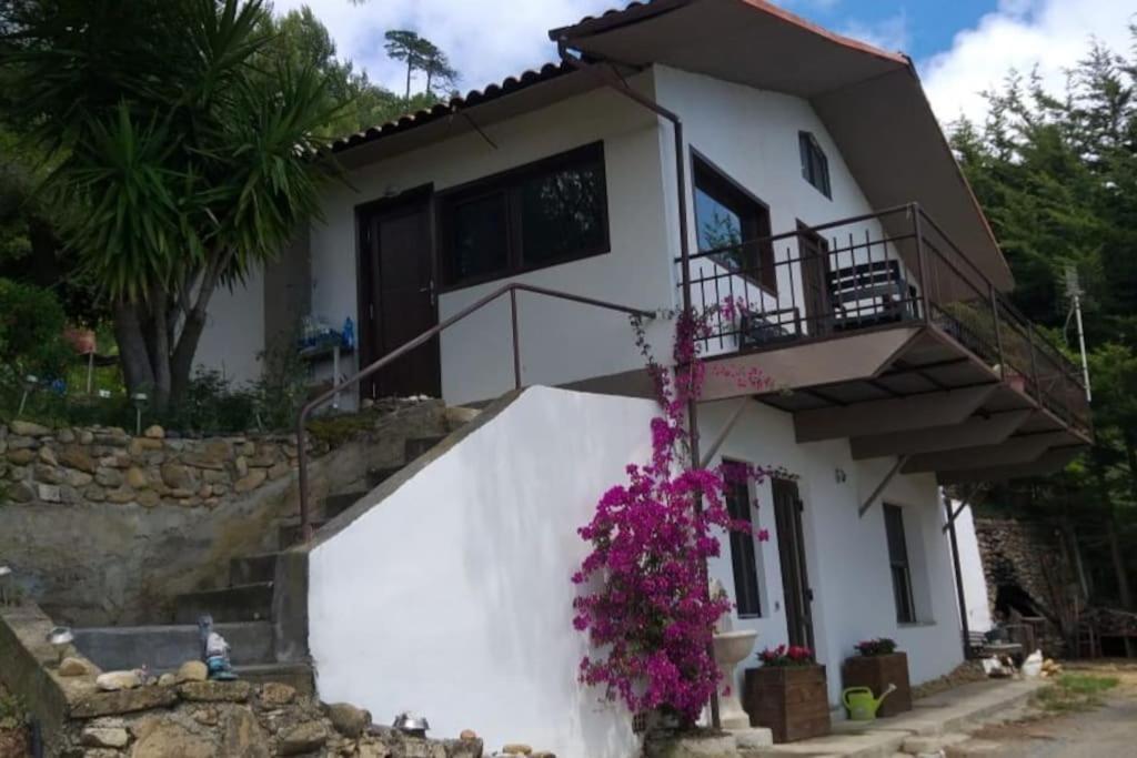 Detached House With Garden And Sea View Vendégház San Remo Kültér fotó